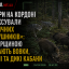 Камери на кордоні зафіксували незвичних &laquo;порушників&raquo;: Самбірщиною блукають вовки, козулі та дикі кабани