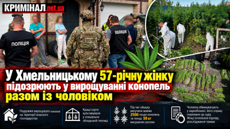 У Хмельницькому 57-річну жінку підозрюють у вирощуванні конопель разом із чоловіком