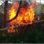 В Киевской области загорелся врезавшийся в дерево автомобиль