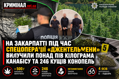 На Закарпатті під час спецоперації &laquo;Джентельмени&raquo; вилучили понад пів кілограма канабісу та 246 кущів конопель