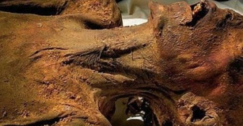 Под Чугуевом найден мумифицированный труп. Фото
