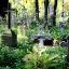На Дніпропетровщині виявлено неповнолітніх цвинтарних вандалів