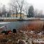 В Житомире в водоеме обнаружены тела двух студентов. Появилось видео