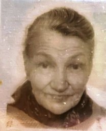 В Харьковской области разыскивают пропавшую без вести пожилую женщину
