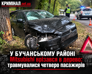 У Бучанському районі Mitsubishi врізався в дерево: травмувалися четверо пасажирів
