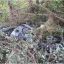 На обочине трассы «Одесса-Мелитополь-Новоазовск» в кустах обнаружен труп