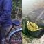 ​Возле границы с Беларусью мужчина на велосипеде перевозил около 20 кг маковой соломки