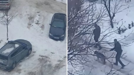 На Київщині собака покусав 8-річного хлопчика на дитячому майданчику На Київщині собака покусав 8-річного хлопчика на дитячому майданчику