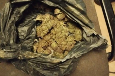 На Дніпропетровщині викрили чоловіка з майже кілограмом канабісу На Дніпропетровщині викрили чоловіка з майже кілограмом канабісу