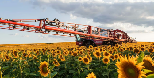 На Одещині викрили схему шахрайства з привласненням майже 48 тонн соняшнику