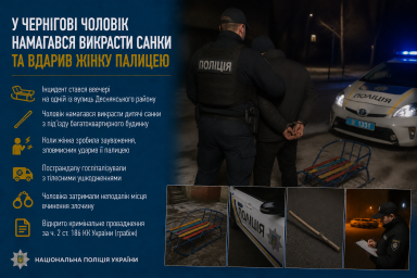 У Чернігові чоловік намагався викрасти санки та вдарив жінку палицею
