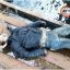 В Киеве вблизи Набережно-Печерской дороги спасатели достали из воды тело мужчины