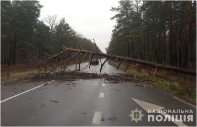 У Волинській області сталася ДТП у якій постраждав іноземець