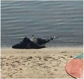 В Запорожье на пляже обнаружено тело человека