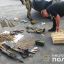В Винницкой области задержан автомобиль с оружием