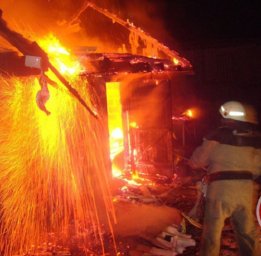 Под Киевом  сгорела птицефабрика. Погибли около тысячи птиц