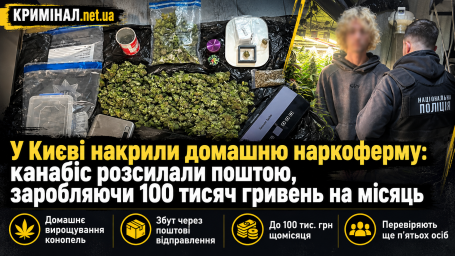 У Києві накрили домашню наркоферму: канабіс розсилали поштою, заробляючи 100 тисяч гривень на місяць