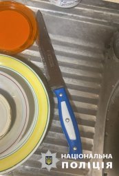 У Харкові жінка вбила співмешканця. Поліцейські повідомили їй про підозру. З’явилося відео