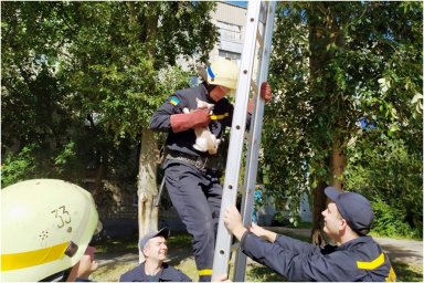В Марганце спасатели ГСЧС сняли с дерева котенка