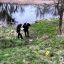 В Корсунь-Шевченковском двое мужчин избили и утопили приятеля. Появилось видео
