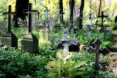 В Ровно пожилая женщина застряла в ограде, пытаясь попасть на кладбище