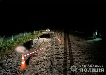 У Ковельському районі в ДТП загинула літня пішохідка