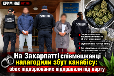 На Закарпатті співмешканці налагодили збут канабісу: обох підозрюваних відправили під варту