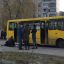Во Львове 10-летняя девочка погибла под колесами автобуса. Появилось видео