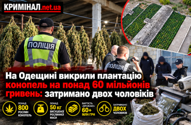 На Одещині викрили плантацію конопель на понад 60 мільйонів гривень: затримано двох чоловіків