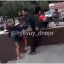 Появилось видео инцидента в ресторане Днепра. От удара женщина оказалась без сознания