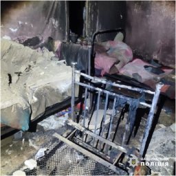 У селі Журавка внаслідок пожежі загинуло троє дітей. Поліція розслідує обставини