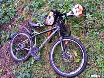 В Корці крадій ховався від поліцейських у кущах