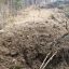 У селі Стара Гута під час земельних робіт один чоловік загинув та один травмований