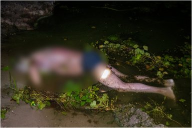 В Киеве компания, гулявшая по набережной, увидела в воде тело мужчины. Появилось видео