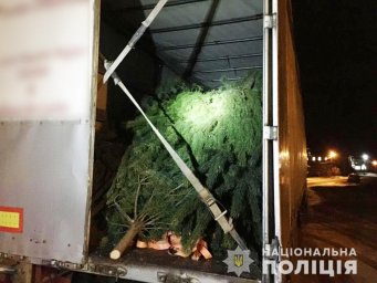 В Черниговской области задержаны «черные лесорубы»