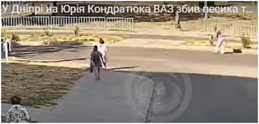 У Дніпрі водій ВАЗ на вулиці збив песика та поїхав з місця ДТП. З’явилося відео
