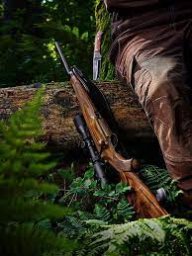 Во Львовской области на охоте погиб охотник