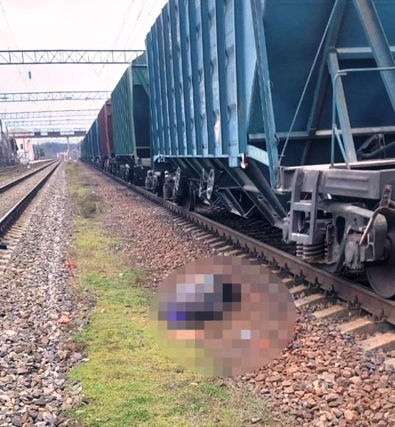В Одесской области поезд сбил пожилую женщину