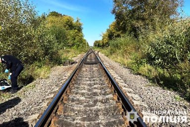 В Тернопільській області потяг збив літнього чоловіка