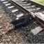 В Херсоне мужчина попал под поезд. Появились фото