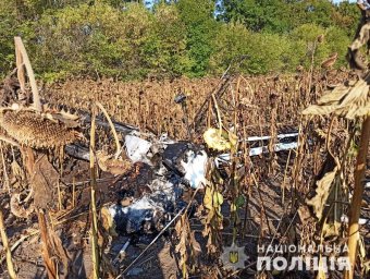 В Сумской области разбился самолет