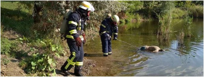 В Марганце в затопленном карьере обнаружено тело мужчины