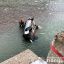 Во Львовской области машина сорвалась в реку