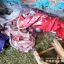 В Житомирской области расследуют смерть новорожденного ребенка