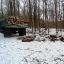 В Сумской области задержаны «черные лесорубы»