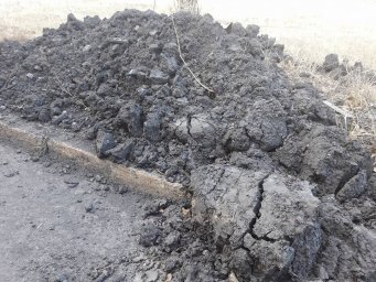 Журналисты раскрыли схему работы угольной мафии в Николаевской области