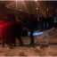 Ночью в Харькове возле кафе ReDi драку разнимали четыре наряда полиции