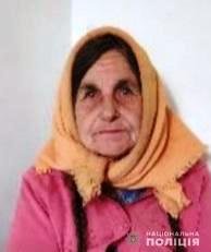 В Днепропетровской области разыскивают пожилую женщину, пропавшую без вести