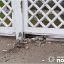 В Дарницькому районі Київа 17-річного юнака затримали за вчинення терористичного акту