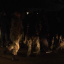 На Донбассе полицейские открыли огонь, что бы остановить нарушителя